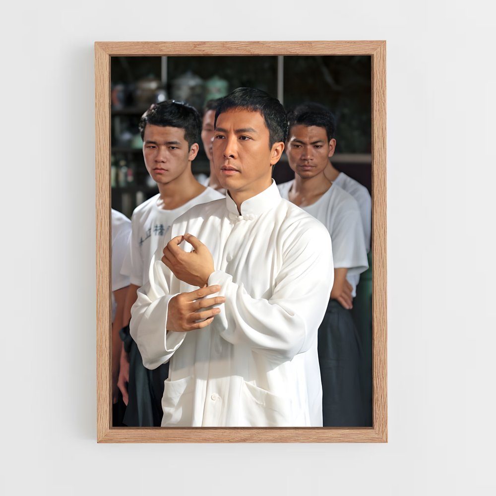 Poster Ip Man en Action – affiche Kung Fu (vue 4)